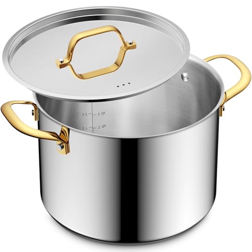 6 Quart Stainless Steel Stockpot with Lid, Induction