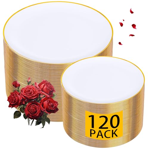 120 Count Plastic Dinner and Dessert Plates Set