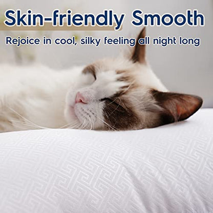 viewstar Pillows Standard Size Set of 2, Bed Pillows for Sleeping, Standard Pillows 2 Pack for Back, Stomach or Side Sleepers, Fluffy Pillows with Down Alternative, Machine Washable, Soft 18" x 24"