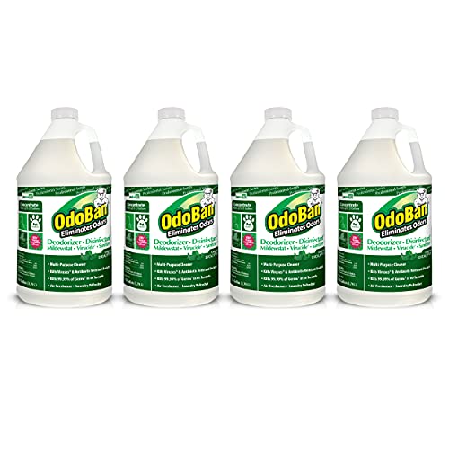 4 Pack OdoBan Disinfectant Odor Eliminator Concentrate Gallon