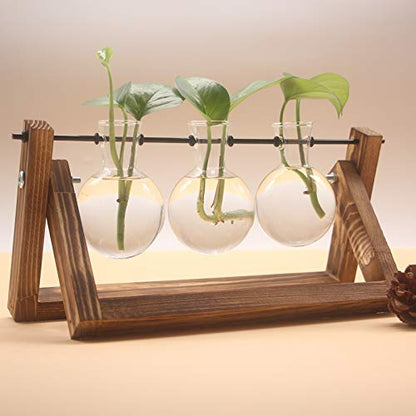 Water Planting Glass Vase Desktop Glass Planter Bulb Vase Hanging with Retro Solid Wooden Stand for Hydroponics Plants Home Office Decor (Three)