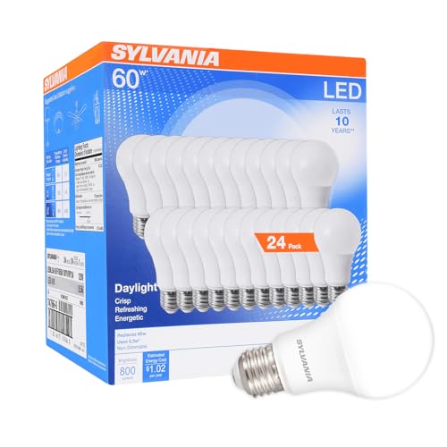 24 Pack LED A19 60W Equivalent Daylight Bulbs