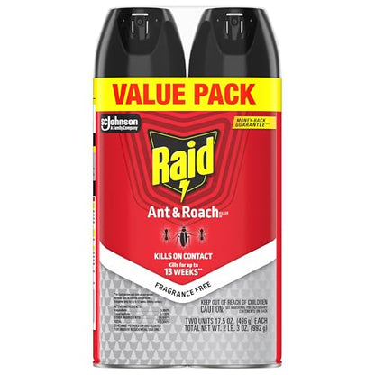 Raid Ant & Roach Killer 2 Count Bug Spray