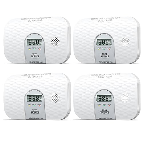 Portable Carbon Monoxide Detector with Digital Display