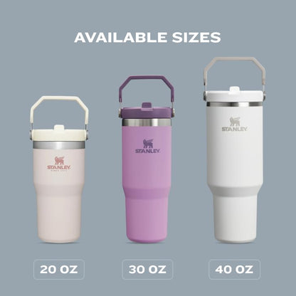 30oz STANLEY Vacuum Insulated Tumbler with Straw
