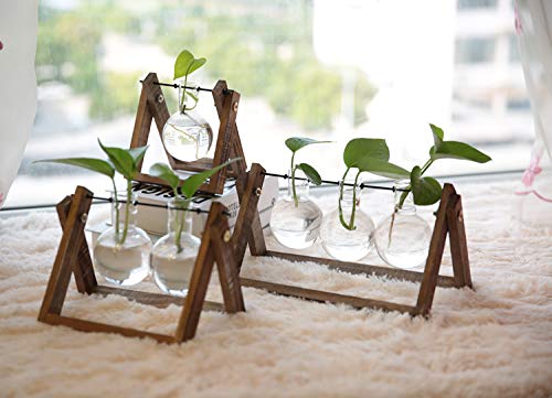 Water Planting Glass Vase Desktop Glass Planter Bulb Vase Hanging with Retro Solid Wooden Stand for Hydroponics Plants Home Office Decor (Three)