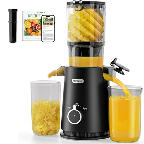 Cold Press Slow Masticating Juicer Machine