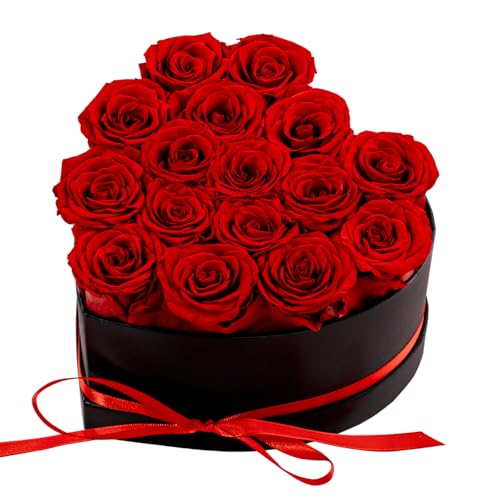 16 Roses Preserved Rose Box Gift Set