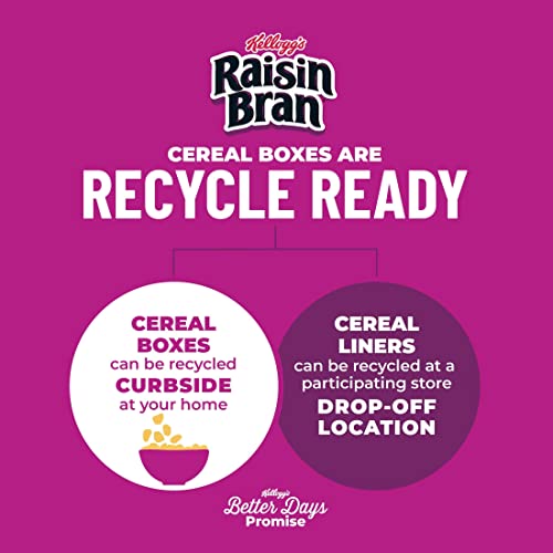 Kellogg's Raisin Bran Original Cereal, 70 Count