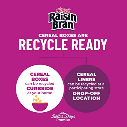Kellogg's Raisin Bran Original Cereal, 70 Count