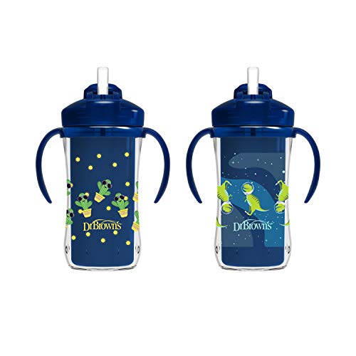 2 Pack Dr. Brown's Insulated Sippy Cups with Straw