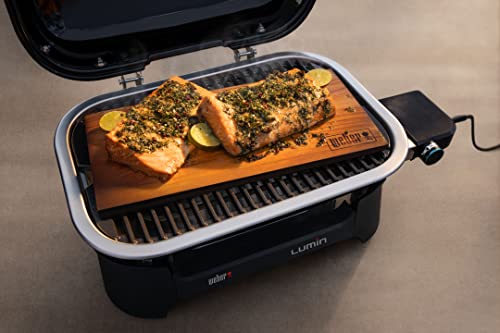 Weber Compact Portable Electric Barbecue Grill