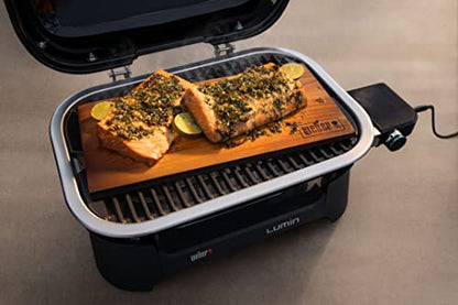 Weber Compact Portable Electric Barbecue Grill