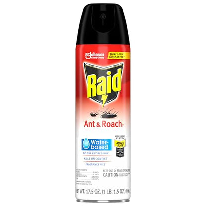 Raid Ant & Roach Aerosol Bug Spray, Water-Based Formula Insecticide With No Greasy Residue, Kills On Contact, 17.5 oz