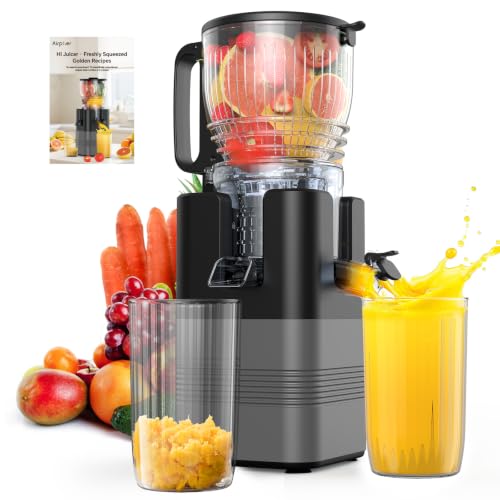 Cold Press Juicer Machine, 400W Wide Chute
