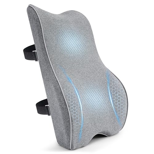 Memory Foam Lumbar Support Pillow Back Cushion