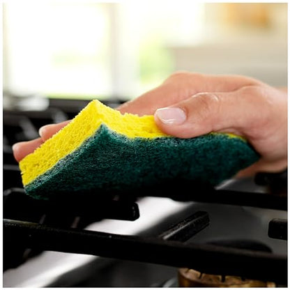 24 Scotch-Brite Heavy Duty Scrub Sponges