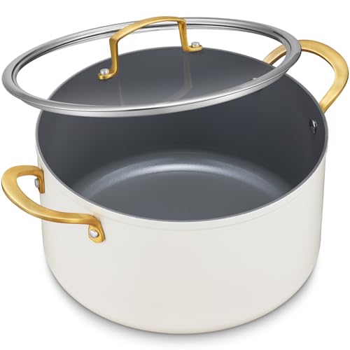 6 Quart Ceramic Nonstick Stock Pot with Lid