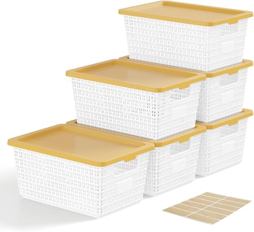 6 Pack Stackable Plastic Storage Bins with Lids