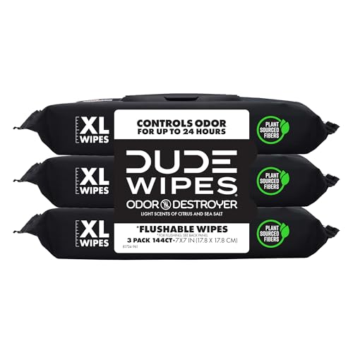 144 Count DUDE Wipes Flushable Deodorizing Wet Wipes