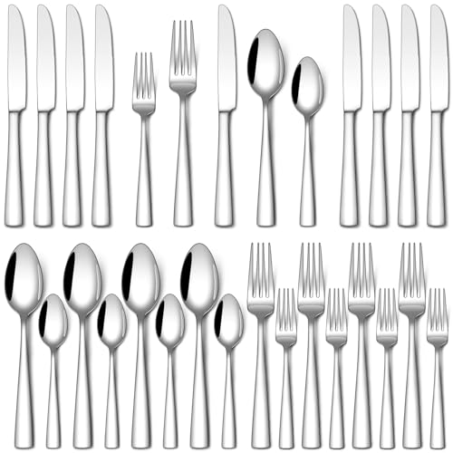 20 Piece Stainless Steel Silverware Set