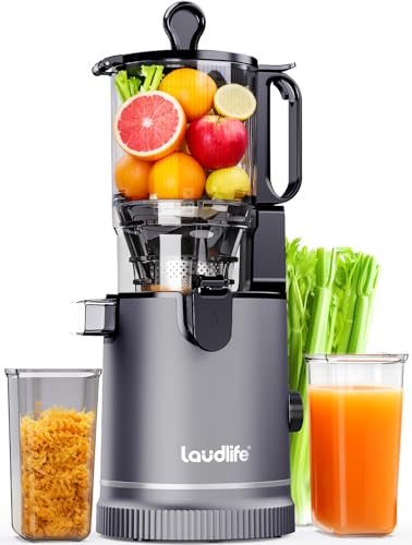Wide Chute Slow Masticating Cold Press Juicer