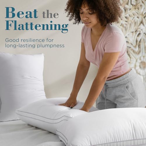 Queen Size Gusseted Down Alternative Pillows Set