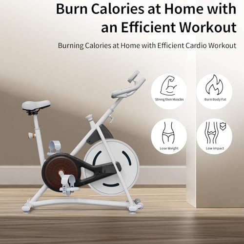 Adjustable Exercise Bike with Smartphone Mount