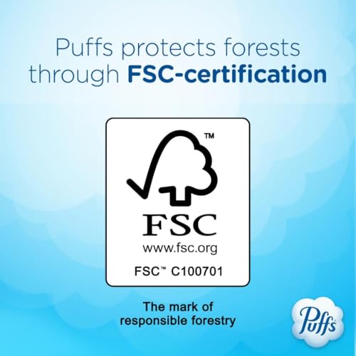 Puffs Plus Lotion Facial Tissues, Family Box