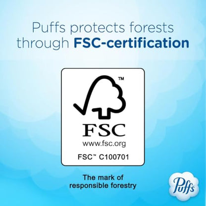 Puffs Plus Lotion Facial Tissues, Family Box