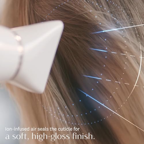 T3 Professional Ionic Hair Dryer and Brush Set