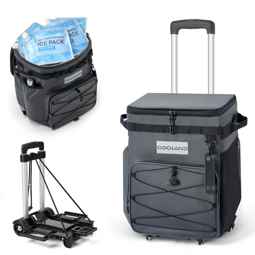 48 Can Rolling Leakproof Insulated Cooler Bag