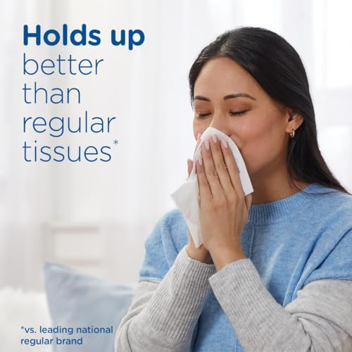 Puffs Plus Lotion Facial Tissues, Family Box