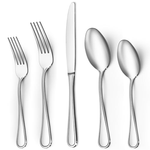 20 Piece Stainless Steel Silverware Flatware Set