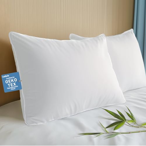 2 Pack Hypoallergenic Down Alternative King Bed Pillows