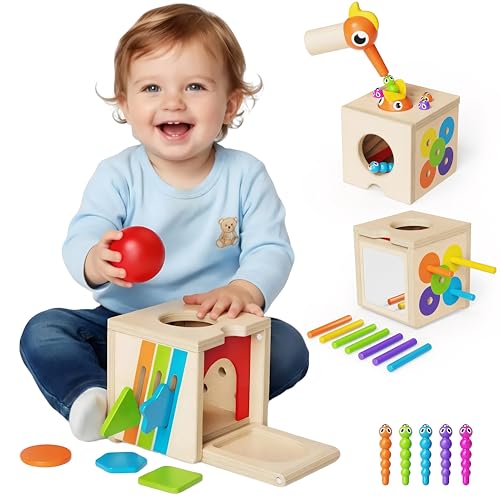 5-in-1 Wooden Montessori Activity Cube Toy