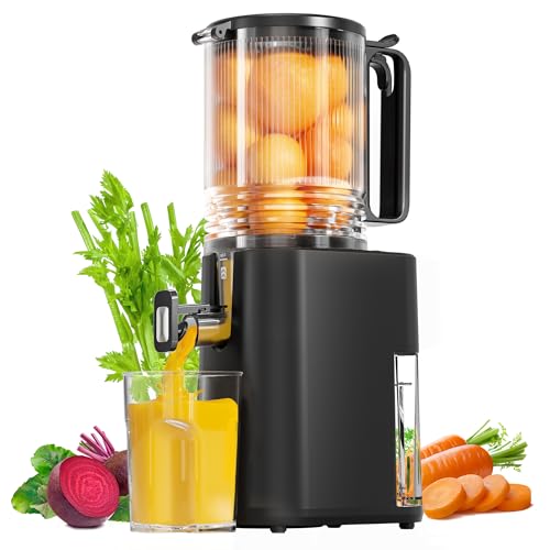 Wide Chute Slow Masticating Cold Press Juicer