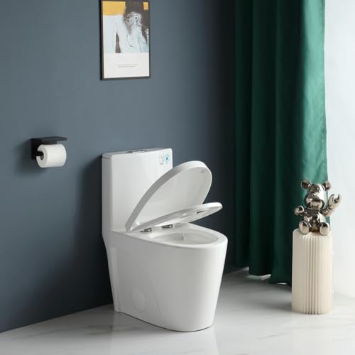Favfurish Dual-Flush Elongated One Piece Toilet