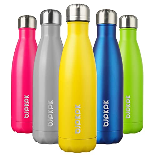 17oz Insulated Stainless Steel Water Bottle