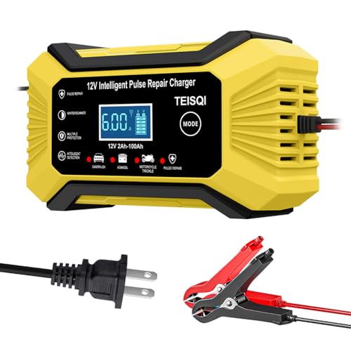 12V 6A Smart Car Battery Trickle Charger