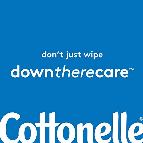 UPDATE: SOLD OUT! Cottonelle Flushable Wet Wipes - 1 Refill Pack, 168 Total Flushable Wipes