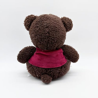 Buxomigrl Cute Stuffed Bear for Birthdays