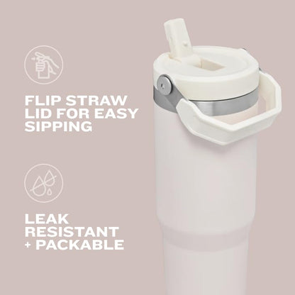 30oz STANLEY Vacuum Insulated Tumbler with Straw