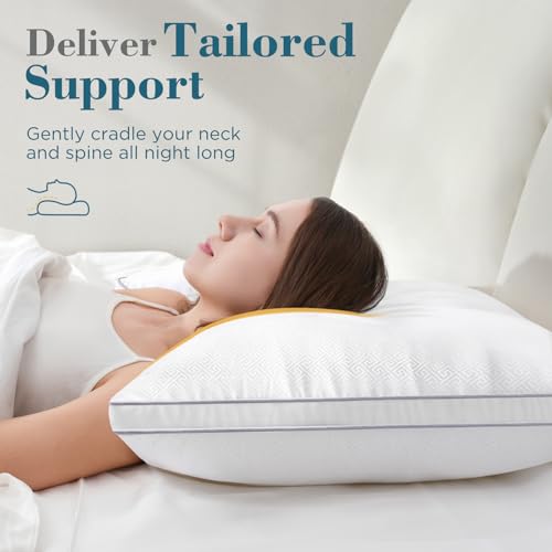 Queen Size Gusseted Down Alternative Pillows Set