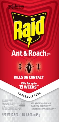 Raid Ant & Roach Killer 2 Count Bug Spray