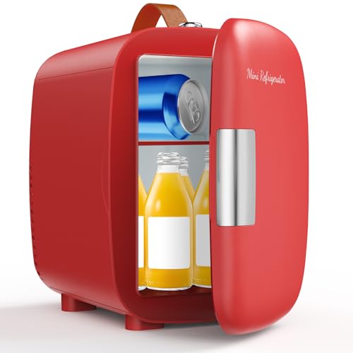 4L Mini Skincare and Beverage Fridge