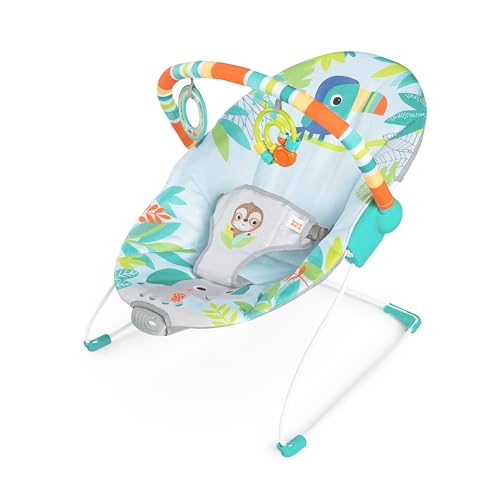 Bright Starts Soothing Vibrations Baby Bouncer Seat