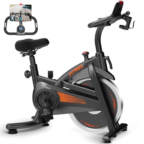 CURSOR FITNESS Silent Belt Drive Indoor Exercise Bike