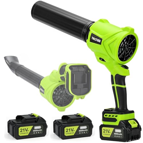 2 Battery 21V Cordless Handheld Leaf Blower