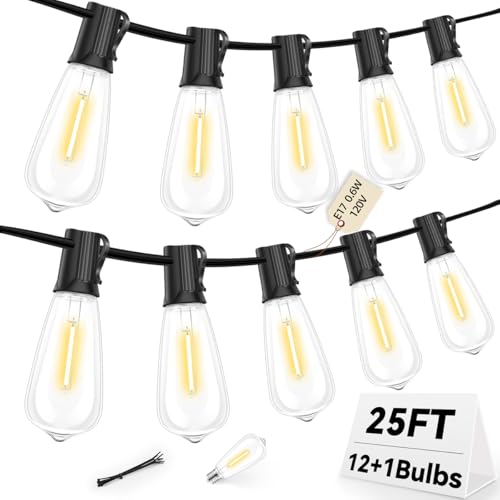 25FT LED Outdoor String Lights with Shatterproof Bulbs